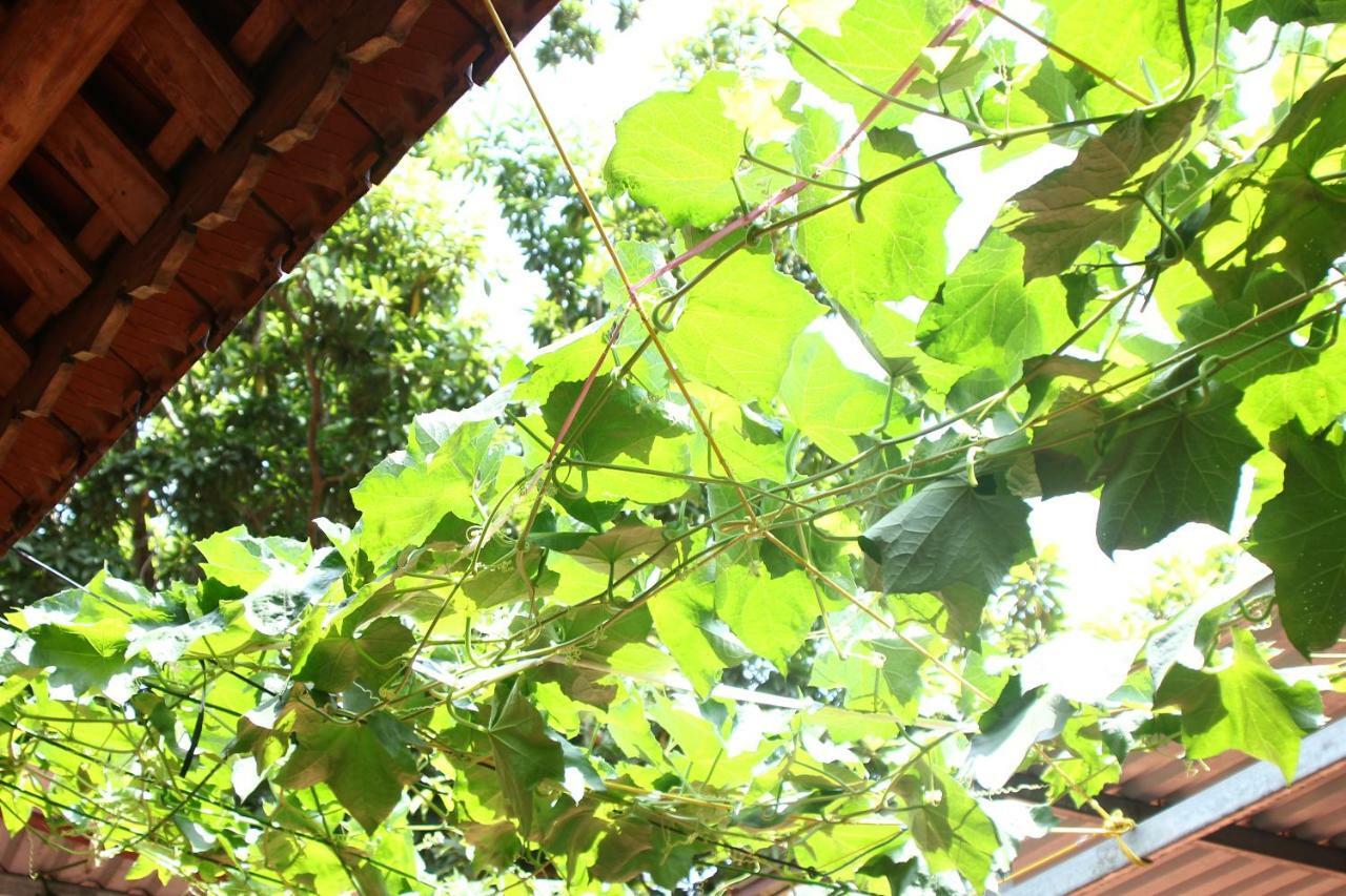 Chicken'S House- Duong Lam Homestay Hanoi Eksteriør billede